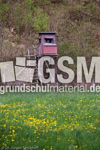 Hochstände (85 von 154).jpg